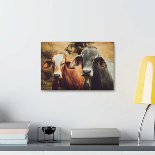 Ophelia & Co. Funny Zebu Silly Zebu Couple Wall Art Wayfair